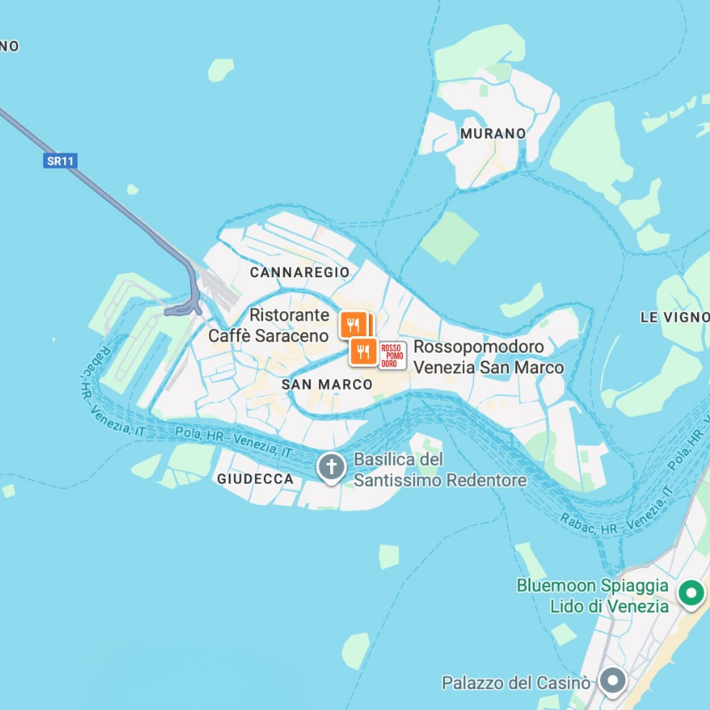 Venice map before preview